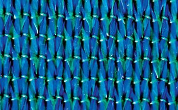 shade canopy turquiose