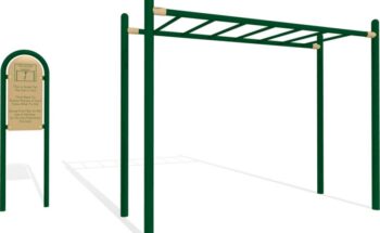 LG fitness horizontal ladder