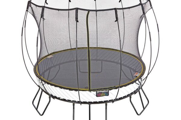 AlleyOOP R79 Medium Round