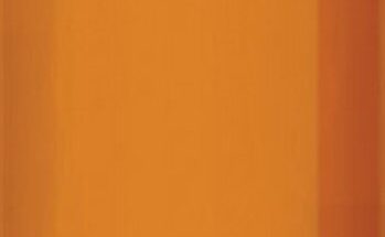 shelter post option orange