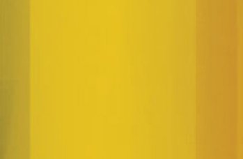 shelter post option yellow