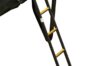 10x17 Trampoline Ladder