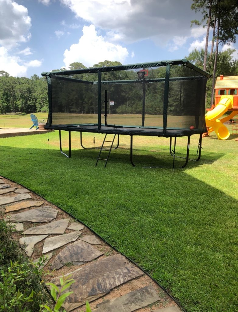 Tree Frogs Showrooms Trampoline Install