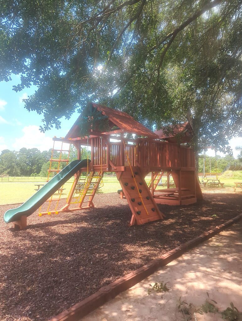 Magnolia Lake TX 1 Tree Frogs Swing Sets Install