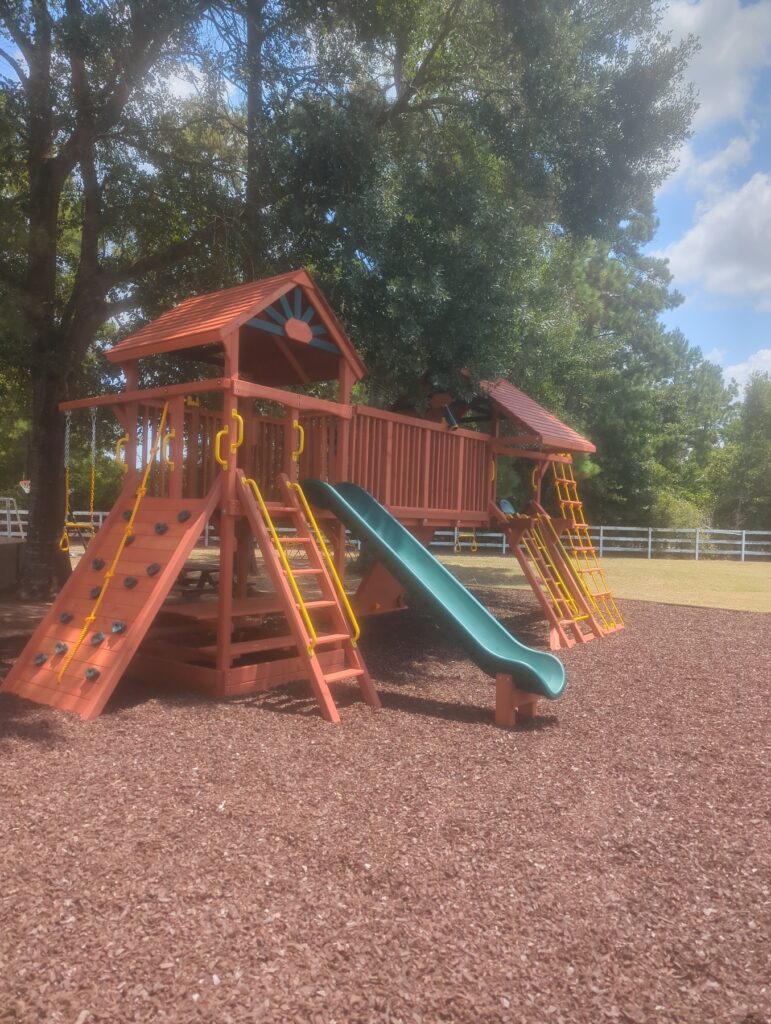 Magnolia Lake TX 2 Tree Frogs Swing Sets Install