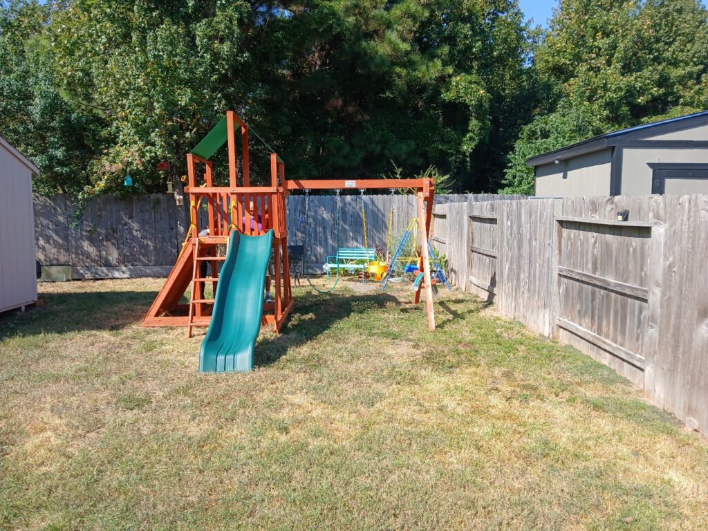 Houston TX 1 Tree Frogs Swing Sets Install