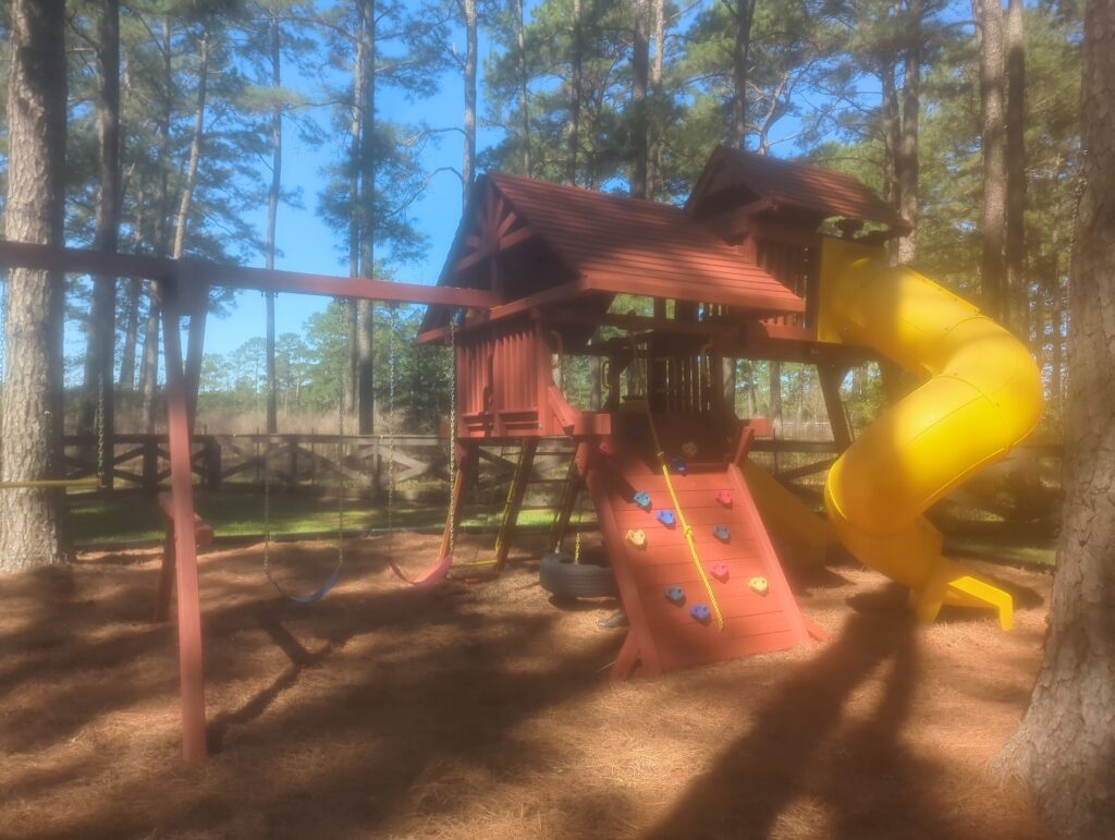 Magnolia TX 1 Tree Frogs Swing Sets Install
